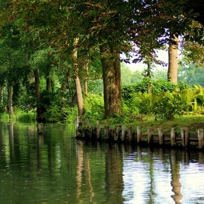 m6米乐官方入口app下载截图