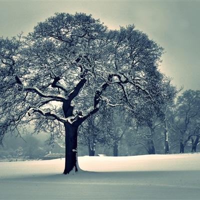 汇彩网登录大厅